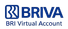 BRI Virtual Account